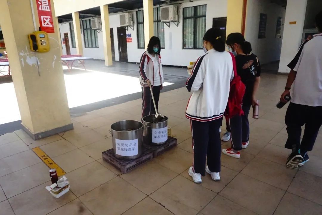 酷熱盛夏 炎日當頭 金銀菊花茶夏日送清涼