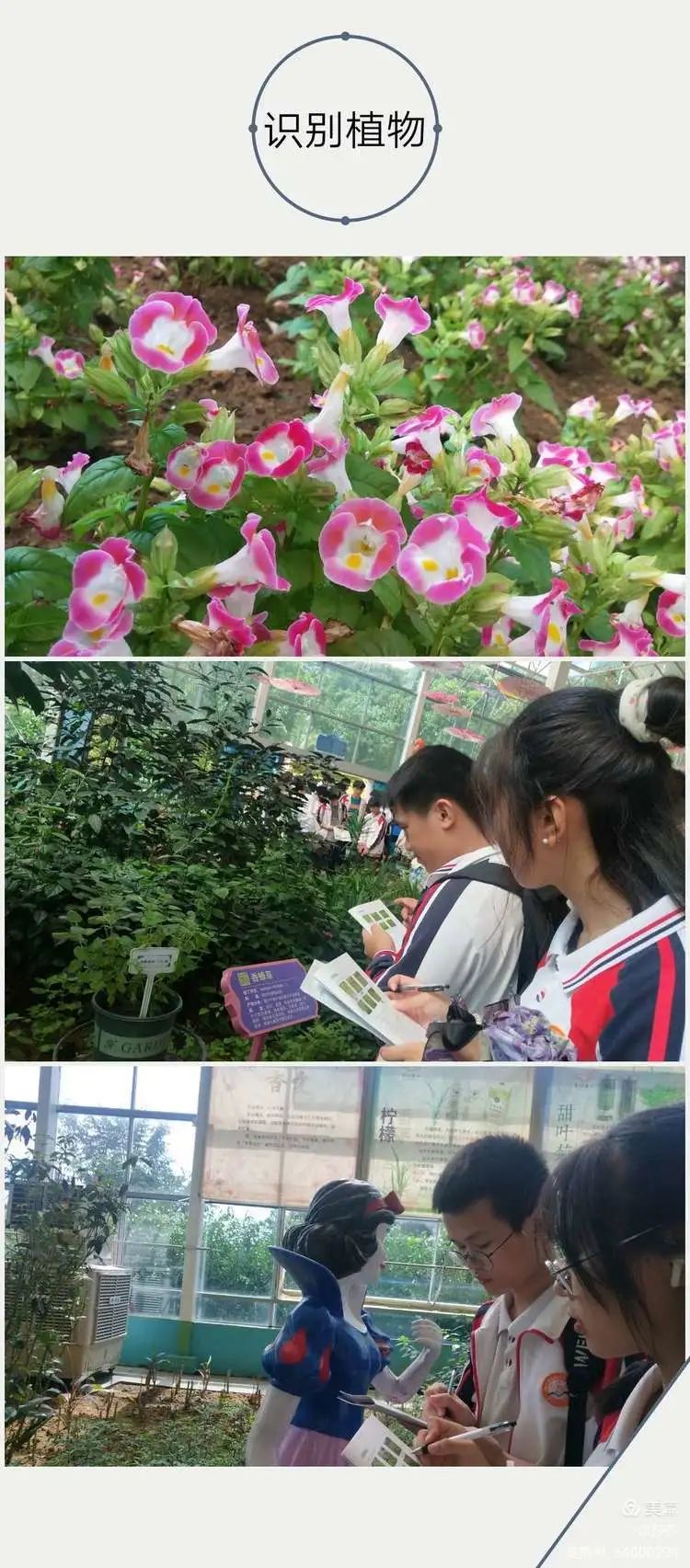 【校園動(dòng)態(tài)】賞花憶往昔——?？邳S岡金盤(pán)高級(jí)中學(xué)高中部研學(xué)之旅