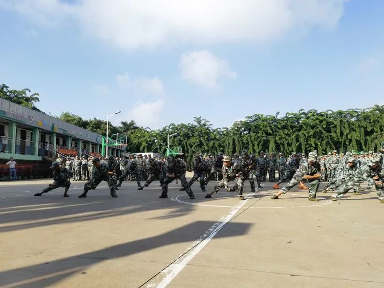 迷彩軍訓(xùn) 青春無悔