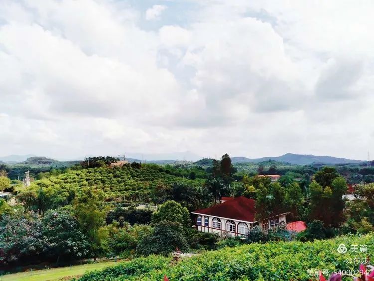 【校園動(dòng)態(tài)】賞花憶往昔——海口黃岡金盤(pán)高級(jí)中學(xué)高中部研學(xué)之旅