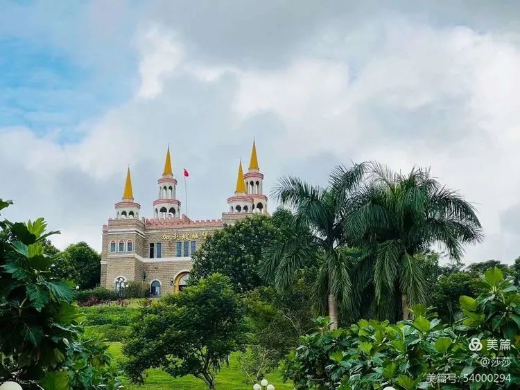 【校園動(dòng)態(tài)】賞花憶往昔——?？邳S岡金盤(pán)高級(jí)中學(xué)高中部研學(xué)之旅