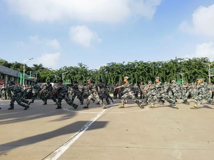 迷彩軍訓(xùn) 青春無悔